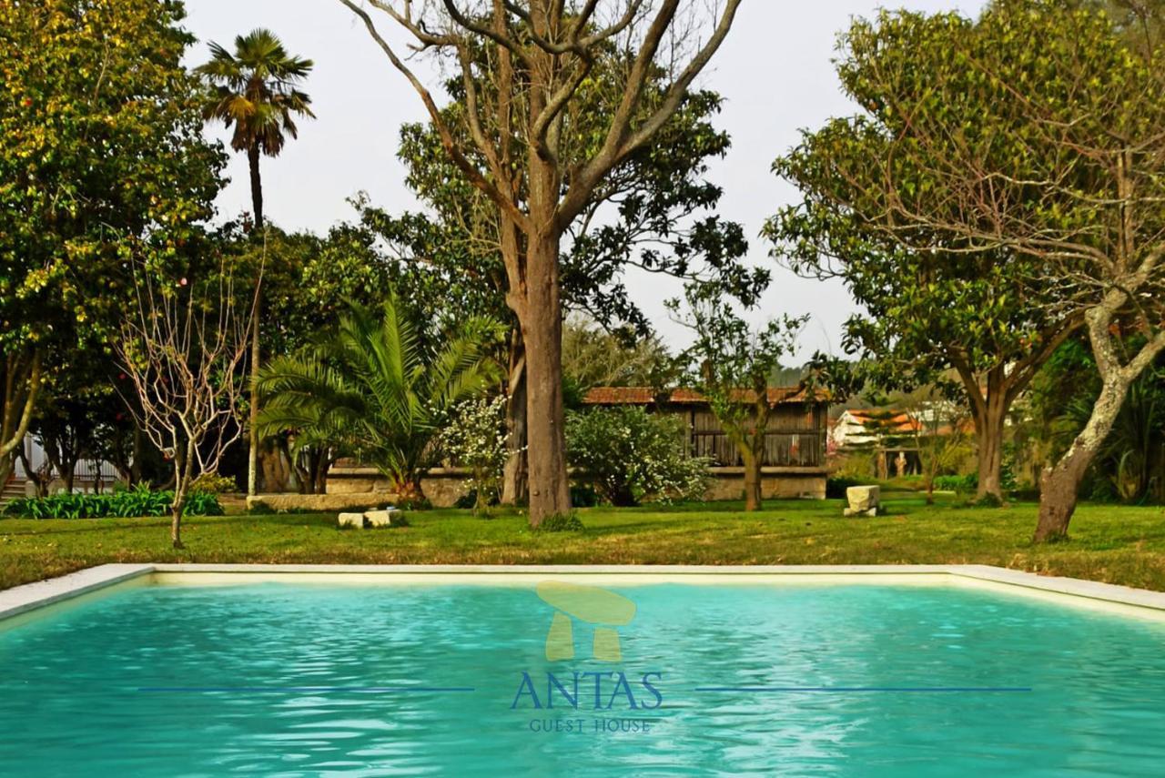 Antas Guest House 에스포센데 외부 사진