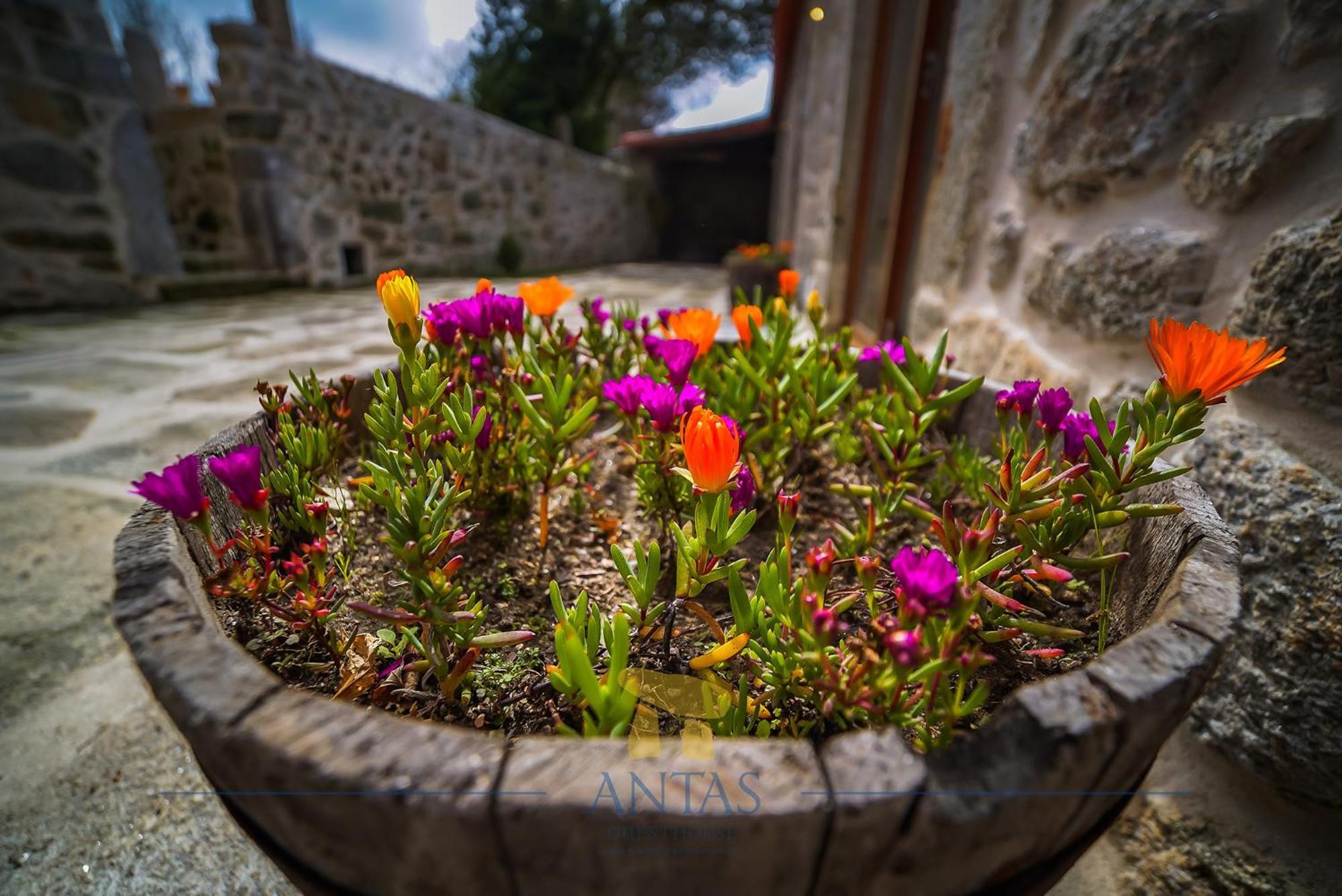 Antas Guest House 에스포센데 외부 사진